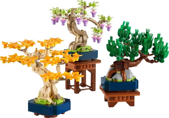 Imagen de Minibonsáis