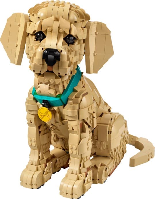 Imagen de Cachorro de Golden Retriever