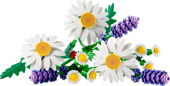 Imagen de Margaritas