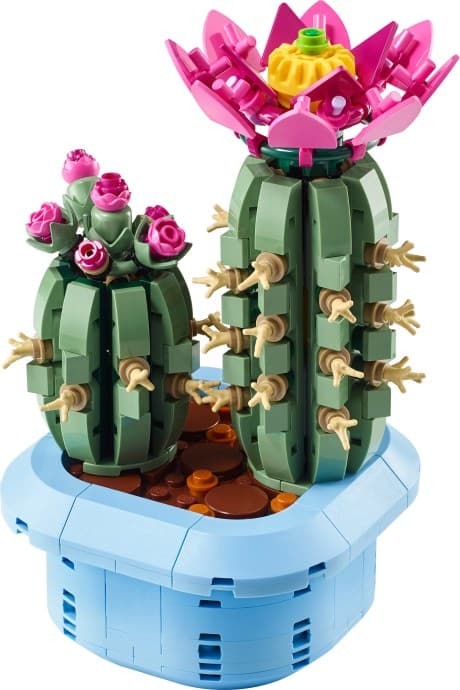 Imagen de Cactus en Flor