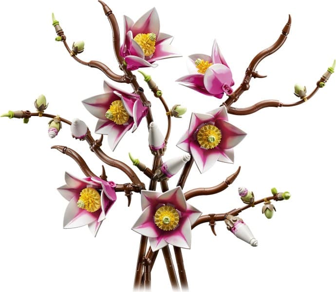 Imagen de Ramas de Magnolia