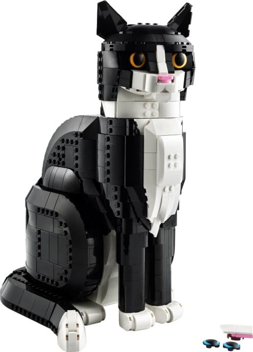 Imagen de Gato Bicolor