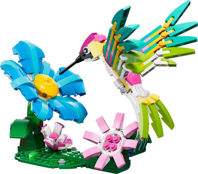 Imagen de Fauna Salvaje: Colibrí de Colores