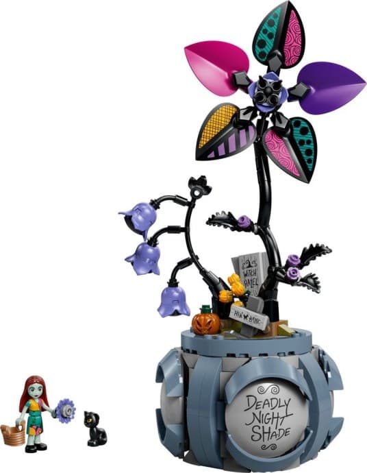 Imagen de Maceta de Sally
