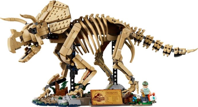 Imagen de Fósiles de Dinosaurio: Triceratops