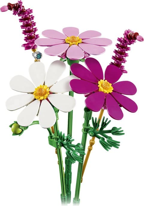 Imagen de Flores de Cosmos
